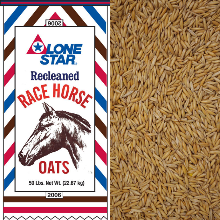 2006 Recleaned Whole Race Horse Oats Lonestar Feed