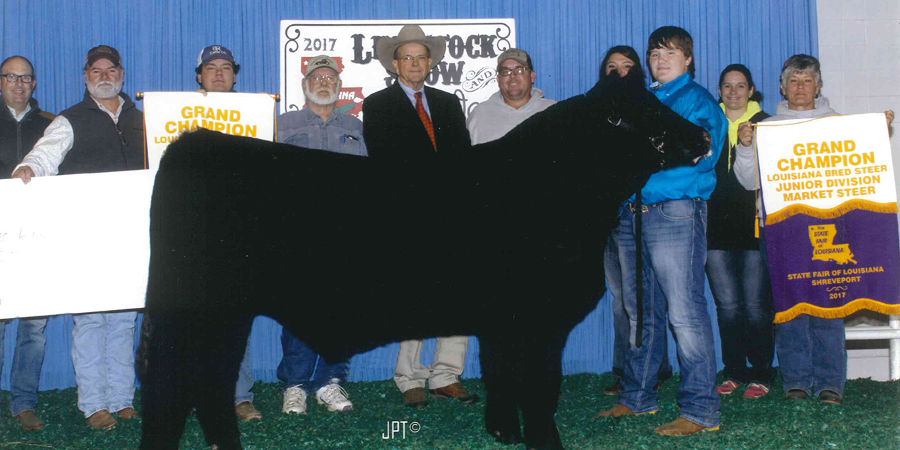 Louisiana State Fair Grand Champion Steer - Lonestar Feed
