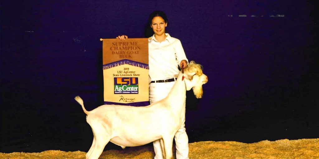 Grand Champion Market Goat