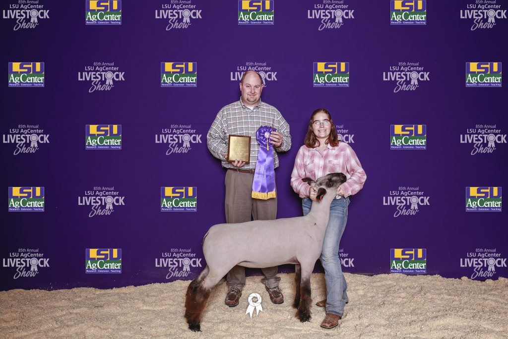 Grand Champion Hampshire Ewe