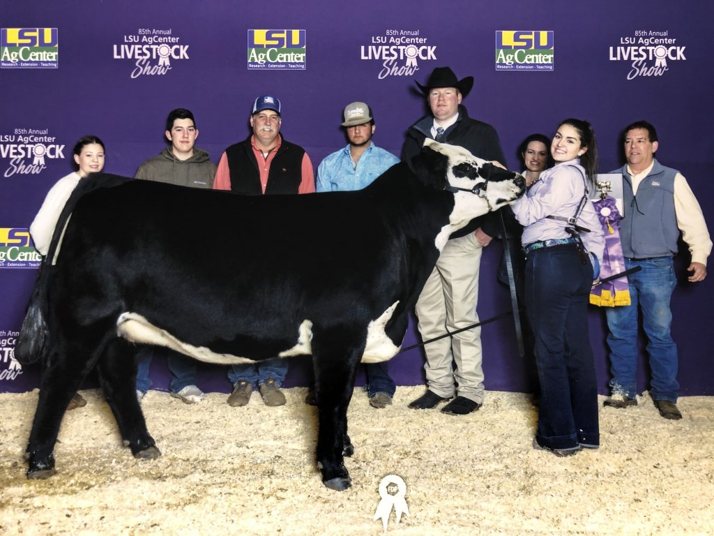 Grand Champion Beef Breed Female